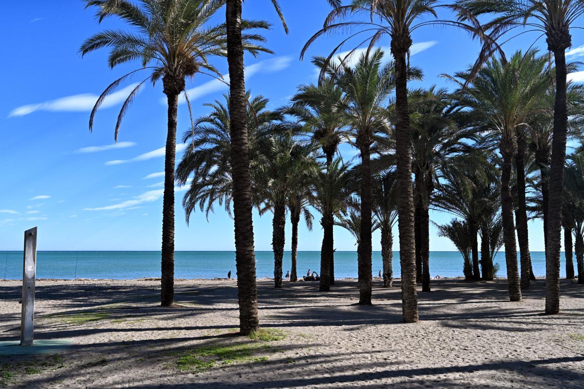 Love Rent4 Malaga Alamar Τορρεμολίνος Εξωτερικό φωτογραφία